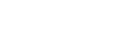 light logo