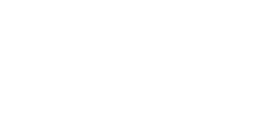 light logo