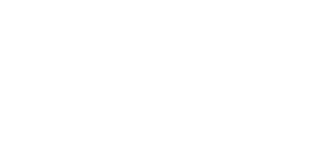 light logo